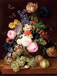 Flowers and Fruit with a Bird's Nest on a Ledge, 1821-Franz Xavier Petter-Giclee Print