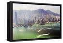 Framed Canvas
