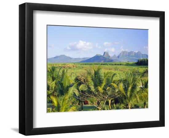 Premium Photographic Print, , large