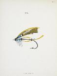 Fishing Tackle-Fraser Sandeman-Stretched Canvas