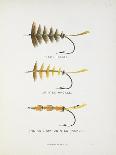 A Fishing Fly and Hook, Fishing Tackle-Fraser Sandeman-Giclee Print