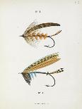 Fishing Tackle: Plain Hackle, Jointed Hackle, Indian Crow-Jointed Hackle-Fraser Sandeman-Giclee Print
