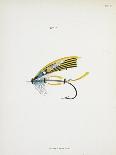Various Insects: Green Drake, Grey Drake, Empty Case-Fraser Sandeman-Giclee Print