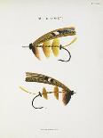 Fishing Tackle: Plain Hackle, Jointed Hackle, Indian Crow-Jointed Hackle-Fraser Sandeman-Giclee Print
