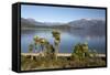 Frasers Beach and Lake Manapouri, Manapouri, Southland, South Island, New Zealand, Pacific-Stuart Black-Framed Stretched Canvas