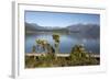Frasers Beach and Lake Manapouri, Manapouri, Southland, South Island, New Zealand, Pacific-Stuart Black-Framed Photographic Print