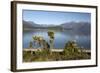 Frasers Beach and Lake Manapouri, Manapouri, Southland, South Island, New Zealand, Pacific-Stuart Black-Framed Photographic Print