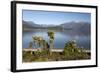 Frasers Beach and Lake Manapouri, Manapouri, Southland, South Island, New Zealand, Pacific-Stuart Black-Framed Photographic Print