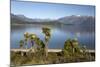 Frasers Beach and Lake Manapouri, Manapouri, Southland, South Island, New Zealand, Pacific-Stuart Black-Mounted Photographic Print