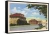 Fraternity Row, LSU, Baton Rouge-null-Framed Stretched Canvas
