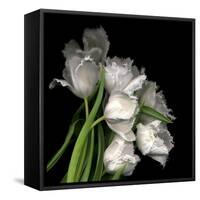 Frayed Tulips-Magda Indigo-Framed Stretched Canvas