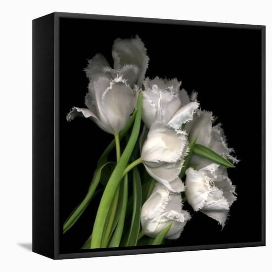 Frayed Tulips-Magda Indigo-Framed Stretched Canvas