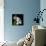 Frayed Tulips-Magda Indigo-Premium Photographic Print displayed on a wall