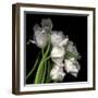 Frayed Tulips-Magda Indigo-Framed Premium Photographic Print