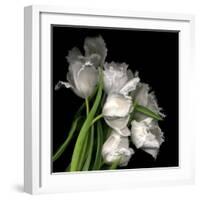 Frayed Tulips-Magda Indigo-Framed Premium Photographic Print