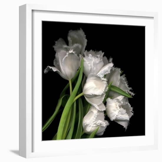 Frayed Tulips-Magda Indigo-Framed Premium Photographic Print