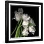 Frayed Tulips-Magda Indigo-Framed Photographic Print