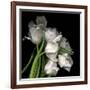 Frayed Tulips-Magda Indigo-Framed Photographic Print