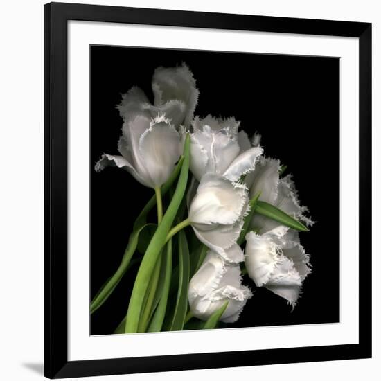 Frayed Tulips-Magda Indigo-Framed Photographic Print