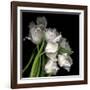 Frayed Tulips-Magda Indigo-Framed Giclee Print