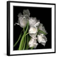 Frayed Tulips-Magda Indigo-Framed Giclee Print