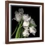 Frayed Tulips-Magda Indigo-Framed Giclee Print