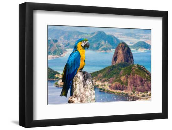 Premium Photographic Print, , large
