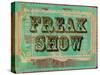 Freak Show Ticket-null-Stretched Canvas