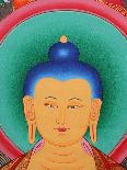 Tibetan Buddha Tanka-Fred de Noyelle-Photographic Print