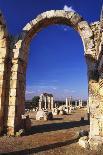 Columns in Public Building, Probably the Court of Justice, Baalbek, Lebanon, Middle East-Fred Friberg-Photographic Print