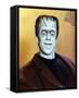 Fred Gwynne - The Munsters-null-Framed Stretched Canvas