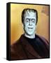 Fred Gwynne - The Munsters-null-Framed Stretched Canvas