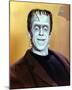 Fred Gwynne - The Munsters-null-Mounted Photo