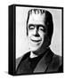 Fred Gwynne-null-Framed Stretched Canvas