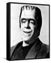 Fred Gwynne-null-Framed Stretched Canvas