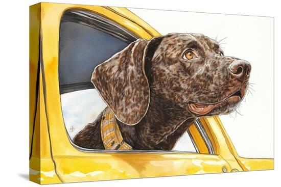 Stretched Canvas Print, , large