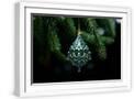 White Frame