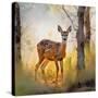 Stretched Canvas