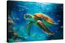 Stretched Canvas