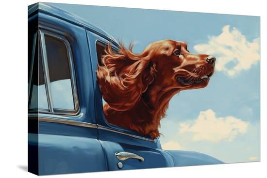 Stretched Canvas Print, , large