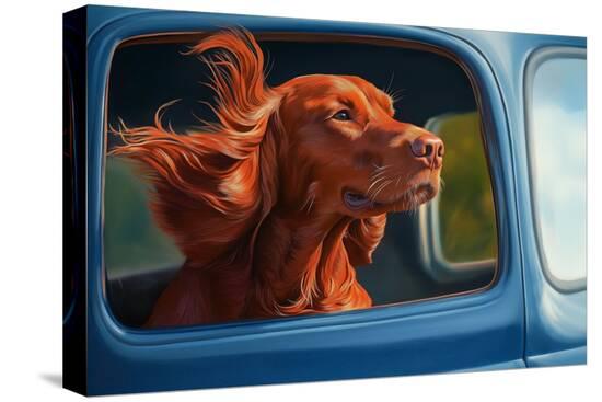 Stretched Canvas Print, , large