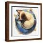 Brown Frame