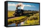 Canvas Black