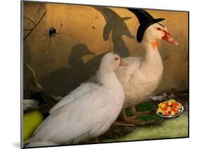 Fred & Lucy Halloween Ducks-sylvia pimental-Mounted Art Print