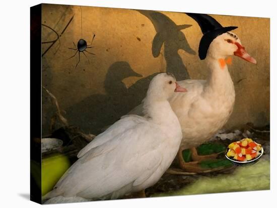 Fred & Lucy Halloween Ducks-sylvia pimental-Stretched Canvas