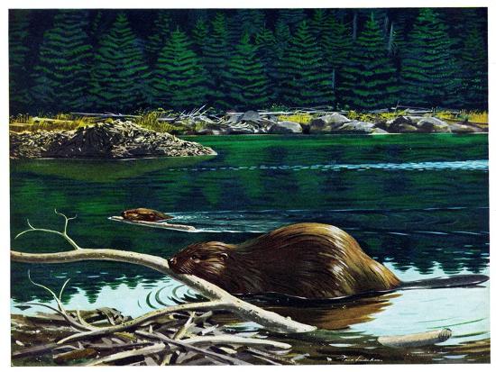 Premium Giclee Print, , large