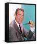 Fred MacMurray-null-Framed Stretched Canvas