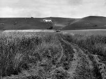 Pewsey White Horse-Fred Musto-Photographic Print