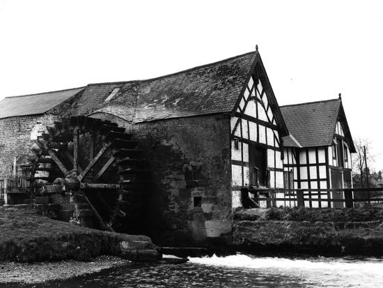 Photographic Print, , large