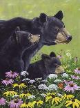 Black Bears-Fred Szatkowski-Framed Art Print